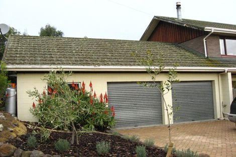 Photo of property in 38 Raynbird Street, Company Bay, Dunedin, 9014