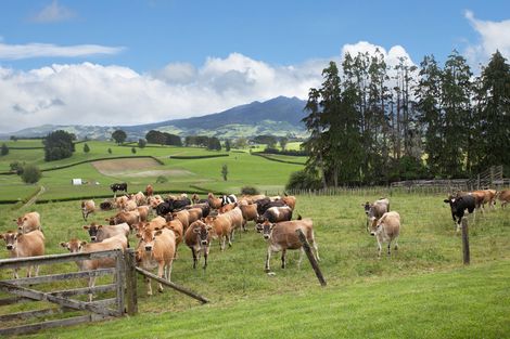 Photo of property in 109 Anderson Road, Ngahinapouri, Te Awamutu, 3876