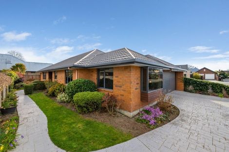 Photo of property in 3a Livingstone Place, Springlands, Blenheim, 7201