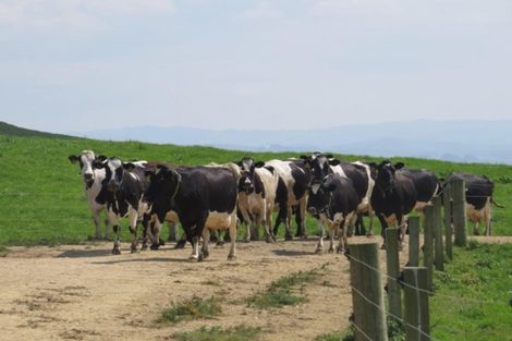 Photo of property in 23 Hinewai Road, Te Kawa, Te Awamutu, 3873