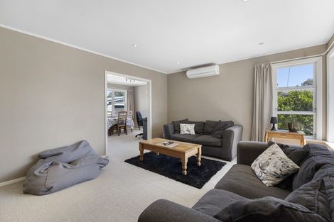 Photo of property in 38 Catlins Crescent, Milson, Palmerston North, 4414
