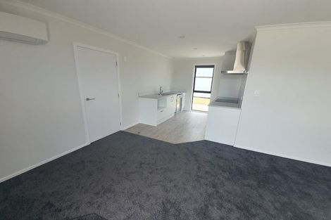 Photo of property in 97 Hinemoa Street, Levin, 5510