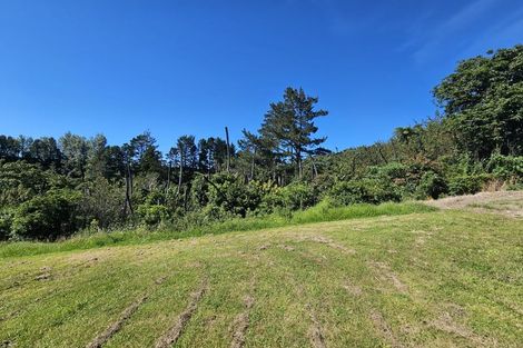 Photo of property in 217 Te Ranga Memorial Drive, Pyes Pa, Tauranga, 3112