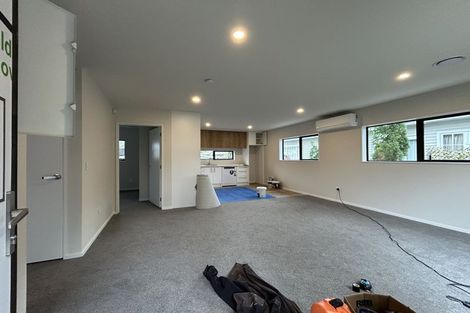 Photo of property in 45c Ryan Street, Phillipstown, Christchurch, 8011