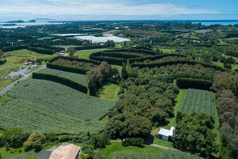 Photo of property in 56 Kauri Point Road, Laingholm, Auckland, 0604