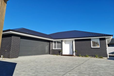 Photo of property in 4a Barratt Street, Blenheim, 7201