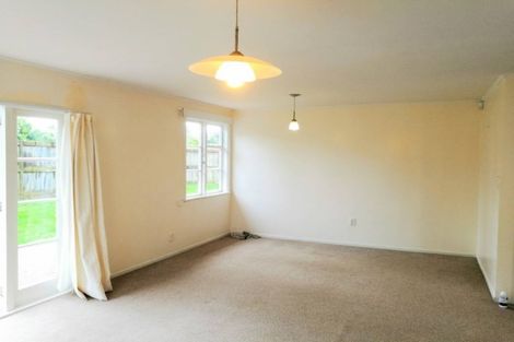 Photo of property in 58 Tripoli Road, Panmure, Auckland, 1072