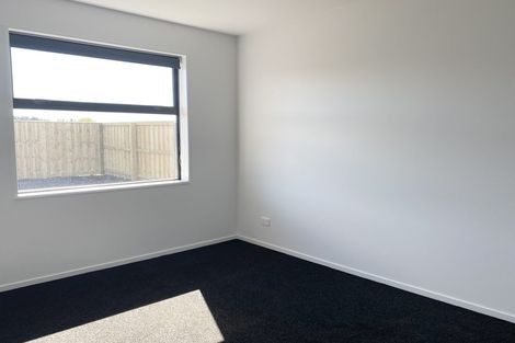 Photo of property in 55 Bonecrusher Street, Lincoln, 7608