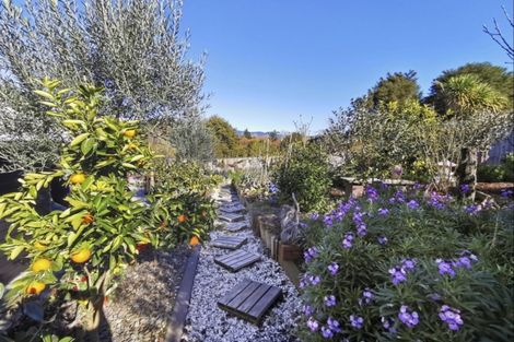 Photo of property in 42 Uretara Drive, Katikati, 3129