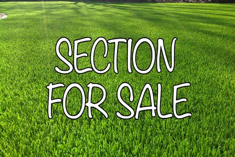 Photo of property in 11 Nerehana Place, Red Beach, 0932