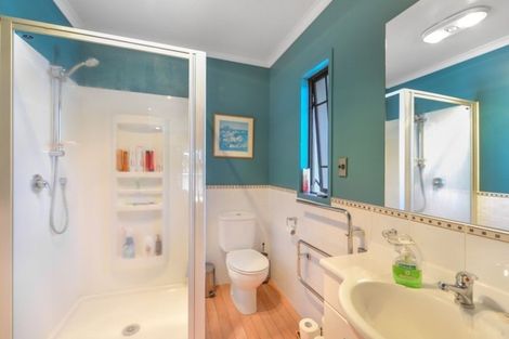 Photo of property in 42a Willoughby Street, Whitiora, Hamilton, 3200