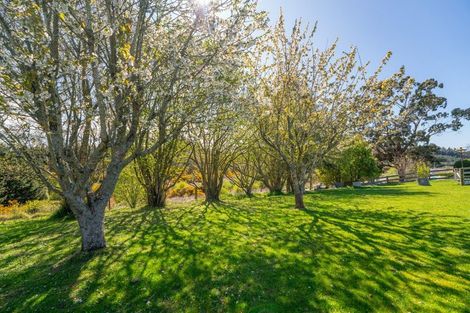 Photo of property in 15 Easons Road, Hampden, 9410