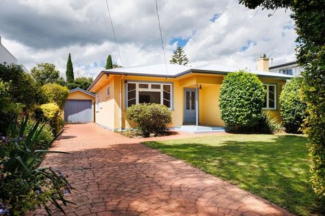 Photo of property in 311 Ruahine Street, Terrace End, Palmerston North, 4410