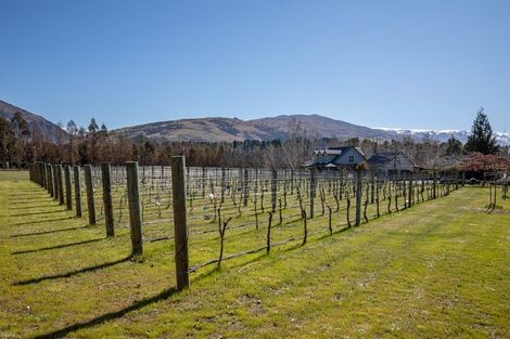 Photo of property in 141 Pearson Road, Cromwell, 9384