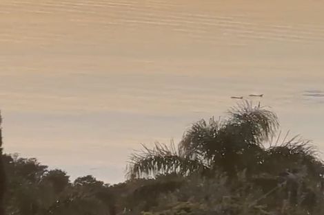 Photo of property in 45a Gulf View Road, Murrays Bay, Auckland, 0630