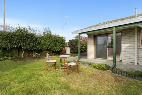 Photo of property in 1209 Cameron Road, Gate Pa, Tauranga, 3112