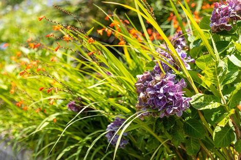 Photo of property in 252b Grange Road, Otumoetai, Tauranga, 3110