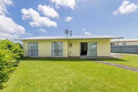 Photo of property in 10 Adkin Avenue, Levin, 5510