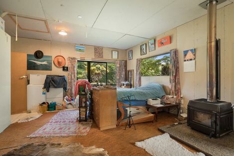 Photo of property in 49 Mangotahi Road, Thames, 3577