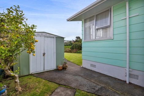 Photo of property in 44 Tavistock Street, Westown, New Plymouth, 4310