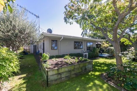 Photo of property in 46a Herrick Street, Marewa, Napier, 4110
