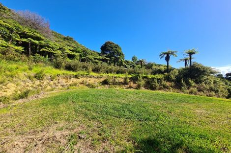 Photo of property in 1092 Driving Creek Road, Coromandel, 3583