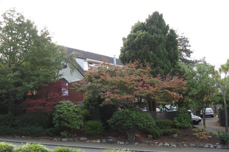 Photo of property in 388 Stuart Street, Roslyn, Dunedin, 9010