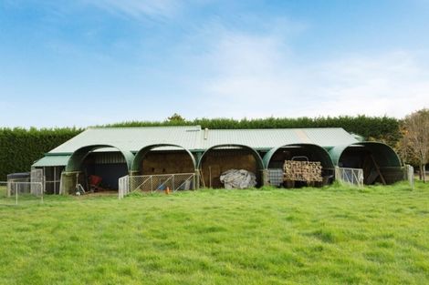 Photo of property in 22 Dukes Road North, Mosgiel, 9092