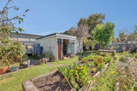 Photo of property in 16 Maunder Street, Marton, 4710