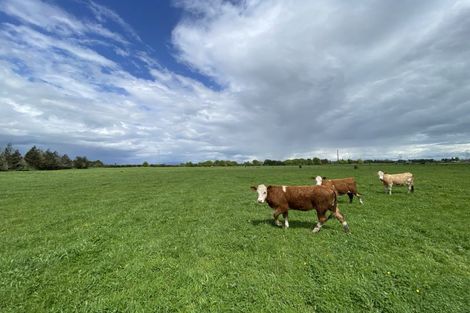 Photo of property in 104 Taplin Road, Tamahere, Hamilton, 3493