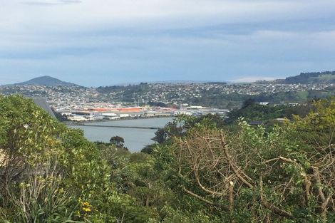 Photo of property in 69 Every Street, Andersons Bay, Dunedin, 9013