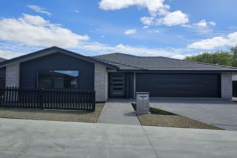 Photo of property in 93 Cobham Drive, Morrinsville, 3300