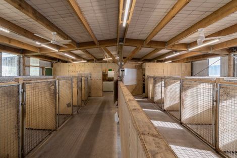 Photo of property in 140 Lake Road, Himatangi, Foxton, 4891