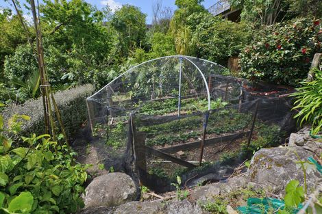 Photo of property in 46 Reotahi Road, Whangarei Heads, Whangarei, 0174