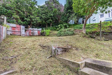 Photo of property in 207 Aro Street, Aro Valley, Wellington, 6021