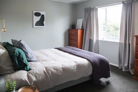 Photo of property in 54 New York Street, Martinborough, 5711