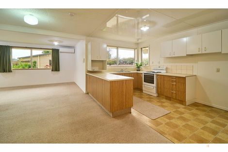 Photo of property in 23 Flatman Crescent, Geraldine, 7930