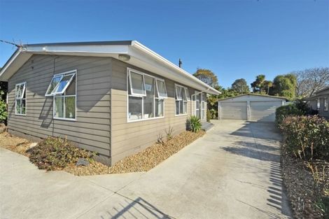 Photo of property in 222 Opawa Road, Hillsborough, Christchurch, 8022