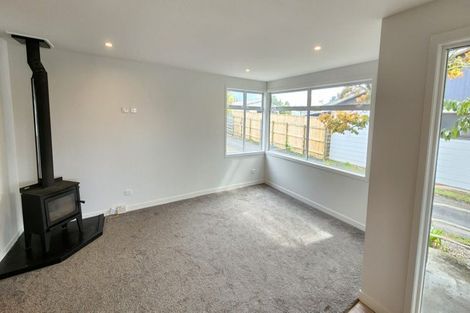 Photo of property in 119a Hamlet Street, Stratford, 4332