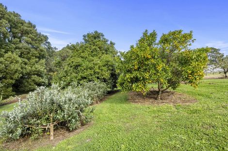 Photo of property in 583 State Highway 16, Kumeu, 0891