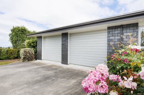 Photo of property in 271 Reid Line East, Aorangi, Feilding, 4775