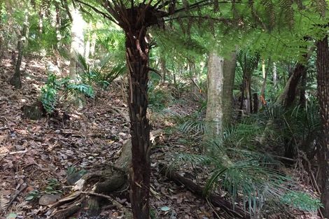 Photo of property in 16 Waikarekare Lane, Karekare, Auckland, 0772