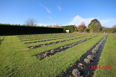 Photo of property in 73 Northpark Road, Newland, Ashburton, 7772