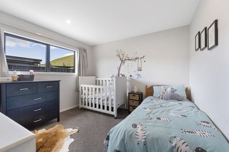 Photo of property in 32 Perriam Place, Mount Pisa, Cromwell, 9383