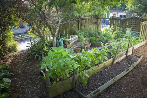 Photo of property in 123b Colombo Road, Waiuku, 2123