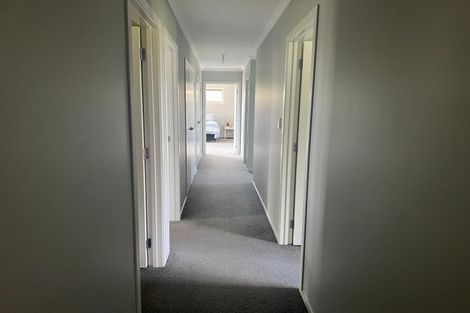 Photo of property in 97 Mcconaghty Road, Papatawa, Woodville, 4998