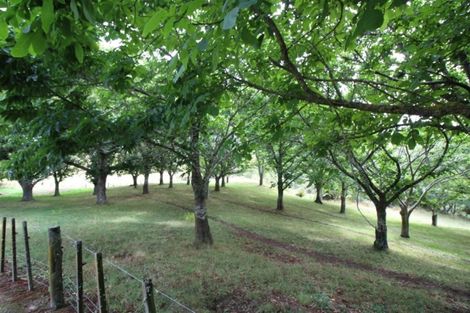 Photo of property in 196 Wiltsdown Road, Lichfield, Putaruru, 3482