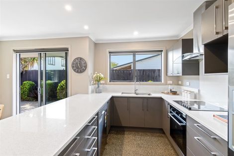 Photo of property in 117a Jerrold Street North, Addington, Christchurch, 8024