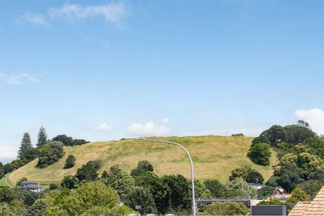 Photo of property in 54 Omahu Road, Greenlane, Auckland, 1051