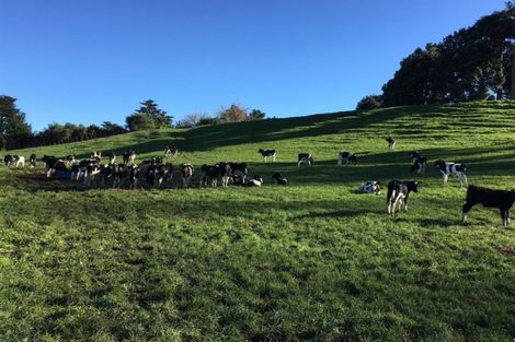 Photo of property in 224 Whakamara Road, Manutahi, Hawera, 4672